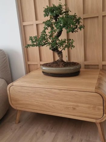 MIRA Masif Ahşap Orta Sehpa – Push to Open Çekmeceli